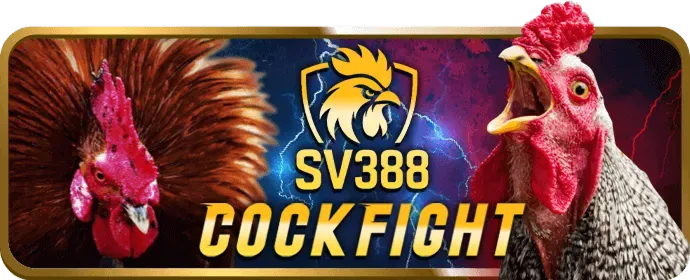 Tiền thưởng chào mừng cho thành viên mới BET888